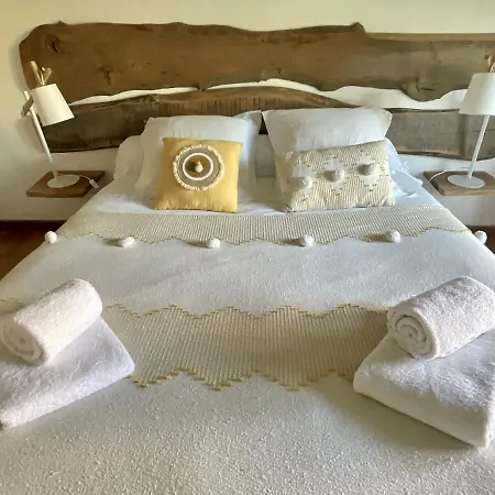 Face à La Cité Vue Sublime Carcassonne