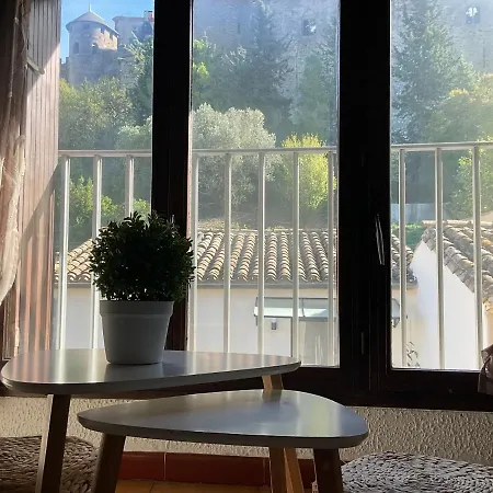 Face à La Cité Vue Sublime Carcassonne