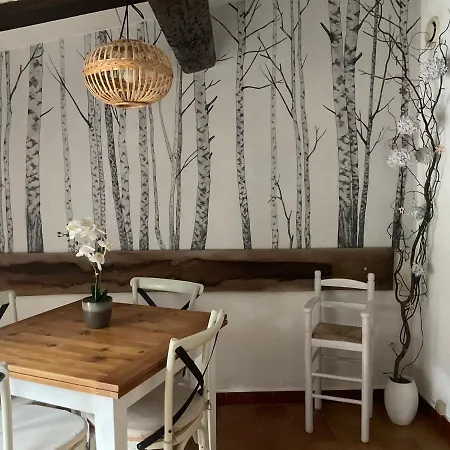 Face à La Cité Vue Sublime Carcassonne