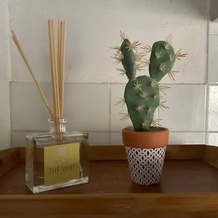 Face à La Cité Vue Sublime Apartamento *