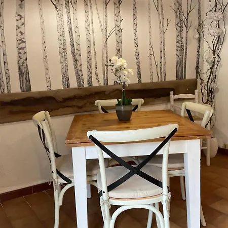 Face à La Cité Vue Sublime Carcassonne