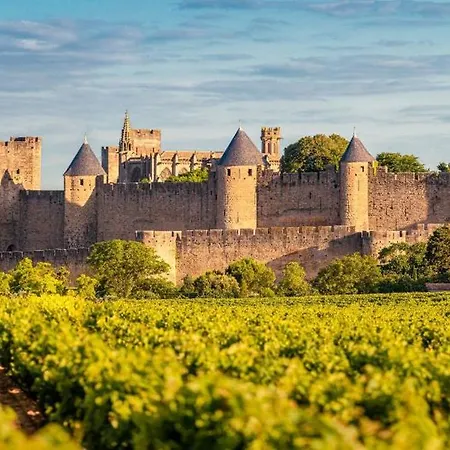 Montez Au Creneau, Face A La Cite Vue Sublime * Carcassonne