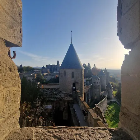 Montez Au Creneau, Face A La Cite Vue Sublime アパート カルカソンヌ
