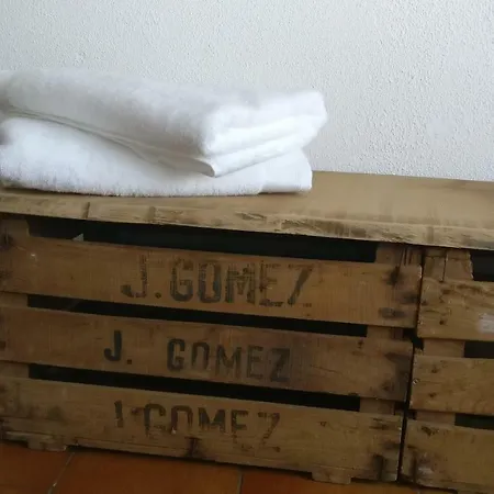 Face à La Cité Vue Sublime Carcassonne