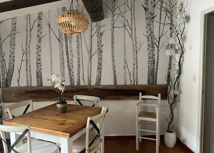 Montez Au Creneau, Face A La Cite Vue Sublime Carcassonne